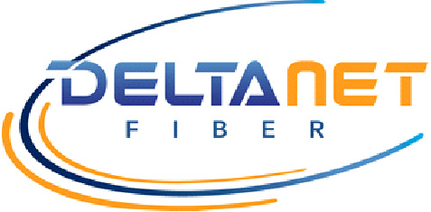 DeltaNet Fiber